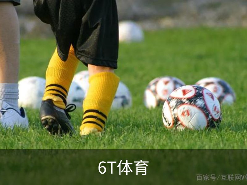 关于6T体育